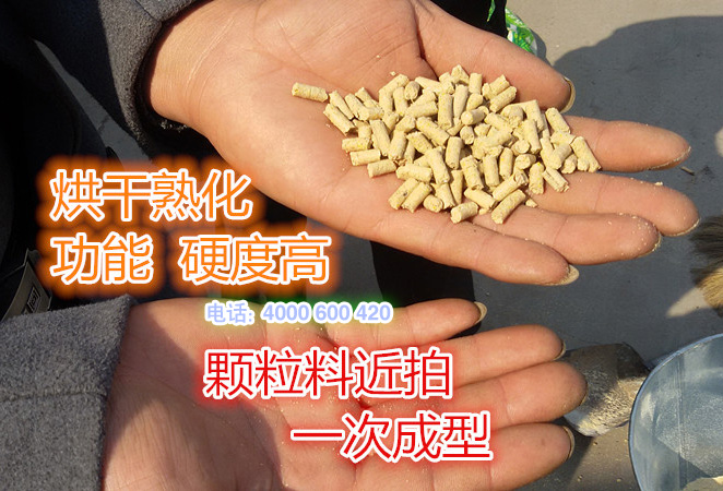 烘(hōng)幹熟化功能