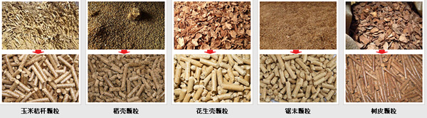 農(nóng)作物玉米秸稈使用(yòng)秸稈顆粒機可直接加工成牛羊豬營養顆粒飼料