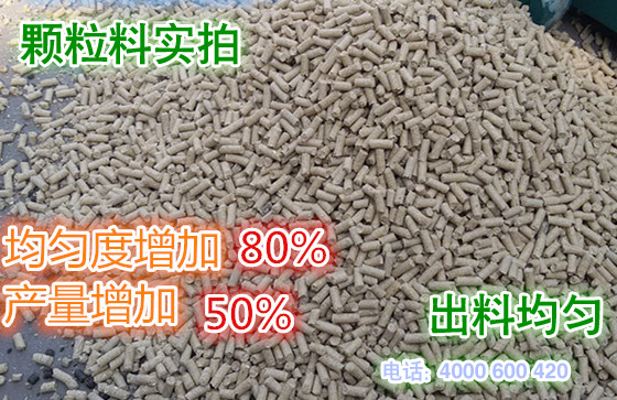 顆(kē)粒飼料實(shí)拍