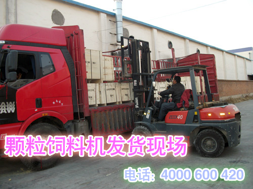 顆粒飼料機發貨現(xiàn)場