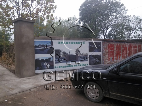 绿巨人草莓丝瓜秋葵榴莲在线(kè)客戶順天養(yǎng)豬場基地