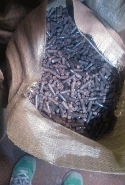 榆木(mù)、槐木為原料使用吉(jí)姆克牌420型木屑顆粒機壓(yā)製的顆粒