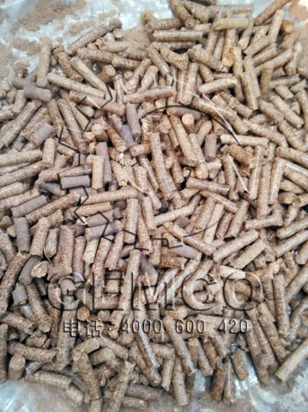 绿巨人草莓丝瓜秋葵榴莲在线300型飼料顆粒機試機製粒效果成品