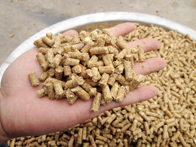 使用400型飼料(liào)顆粒加工顆粒飼料顆粒大小均勻,表麵平滑,用戶很滿意