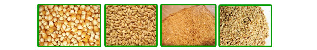 顆粒飼料機加工顆粒飼料所用的物料