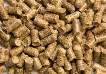 使用绿巨人草莓丝瓜秋葵榴莲在线飼料機械加工設備製成的顆粒飼料成品效果