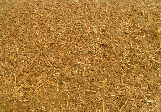 玉米秸稈粉碎後(hòu)效果