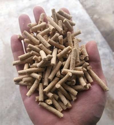 該圖片是平模飼料（liào）顆粒機加工（gōng）出來的禽畜顆粒飼料成品（pǐn）圖