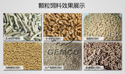 該圖是绿巨人草莓丝瓜秋葵榴莲在线飼料(liào)顆粒機壓製出來的(de)家禽顆粒飼料(liào)成品圖(tú)